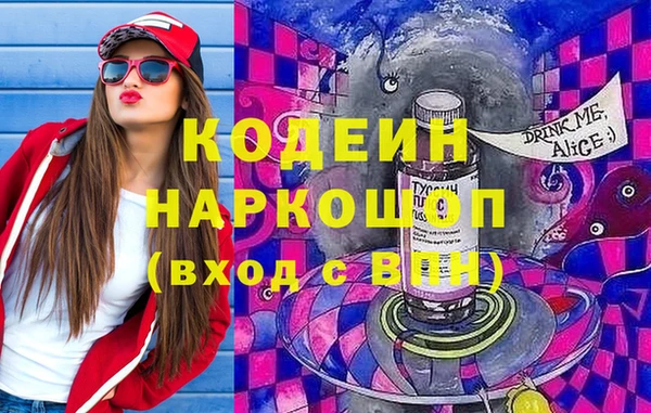 гашик Шали