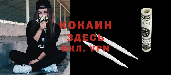 стафф Куртамыш