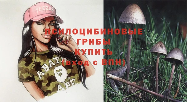 эйфоретик Курчалой