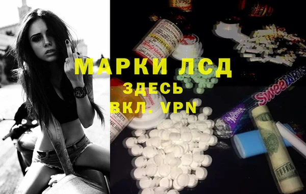 гашик Шали