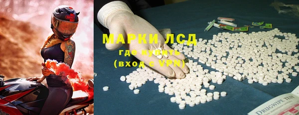 шишки Кирсанов