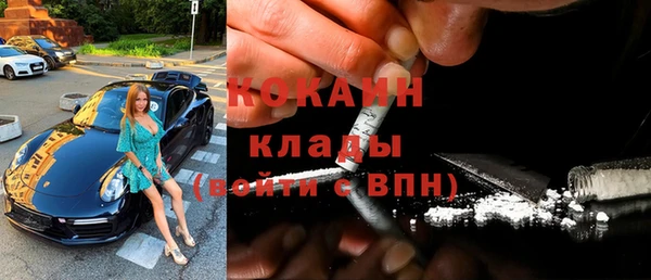 гашик Шали